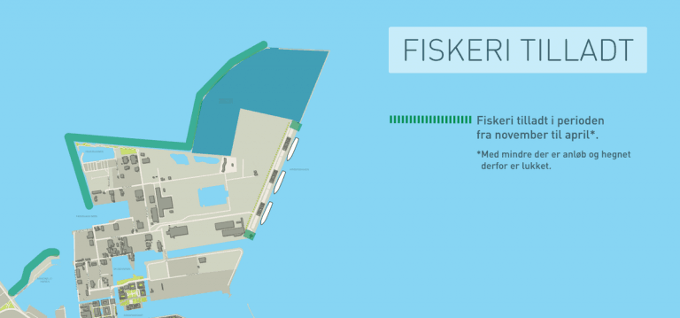 fiskeri_kobenhavnshavn